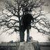 Julian Welsh - Facebook