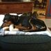 Julian Westfall - Facebook