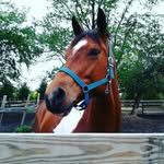 julianna ferrell - @mileylover16 - Instagram