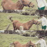 Juliana Fuentes - @julifuentes30 - Instagram