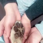 Juliana Fuentes - @juliana_fuentes_ - Instagram