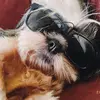 Juliana - @schultzjuliana - TikTok