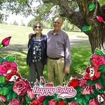 Julianne Olson Brown - @jbrown1438 - Instagram