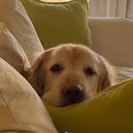 Julianne - @juliannereads - Instagram