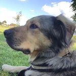 @julierobertdrackley - Instagram