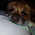 Julie Aitken - @aitken.julie - Instagram