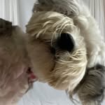 Julie Anne Aitken - @julie_a_aitken - Instagram