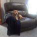Julie Albert - Facebook