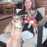 Julie Arrowsmith - @julie_arrowsmith66 - Instagram