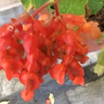 Julie Arrowsmith - @j.arrow110 - Instagram