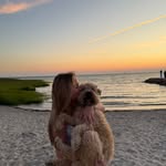 Juliet Haartz - @juliet.haartz27 - Instagram