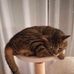 Julie Auclair - Facebook