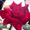 julieauclair02 - @julieauclair02 - TikTok