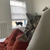 julie_bake - @julie_bake - TikTok
