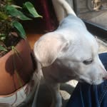 Julie Bartley - @juliebartley43 - Instagram