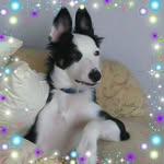 Julie Bartley - @juliebart1956 - Instagram