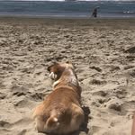 Julie Muller Bartley - @jmskydiver - Instagram