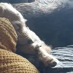 Julie Barton - @julie.barton.39 - Instagram