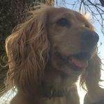 Julie Barton - @juliebarton1636 - Instagram