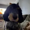 Julie Batten - @julie.batten21 - TikTok