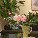 Julie Batten - @ghsp504 - Instagram