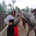 Julia Baumgartner - Facebook
