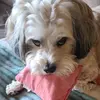 Julie Baumgartner - @julie.baumgartner6 - TikTok
