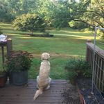Julie Baumgartner - @jm_baumgar - Instagram