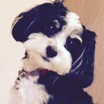 Julie Baumgartner - @baumgartner9120 - Instagram