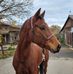Julie Baumgartner - Facebook