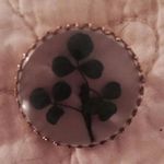 Julie Baumgartner Brandis - @julie_baumgartner_brandis - Instagram