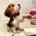 Elvis and Julie beagle adoption center - Facebook