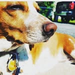 Julie - @juliebeaglee - Instagram