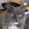 Julie Beane - @julie.beane - TikTok