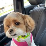 Julie Bernstein - @julie.bernstein.39 - Instagram