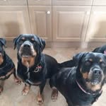 Julie Bevan - @julie.bevan.313 - Instagram