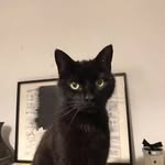 Julie Bevan - @julie.bevan.315 - Instagram