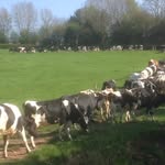 Julie Bevan - @bevan.julie - Instagram