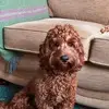 Julie Bevan - @julie.bevan8 - TikTok