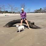 Julie Bickel - @julie.bickel.7 - Instagram