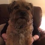 Julie Bickerton - @bickertonjulie - Instagram