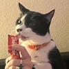 Artie’s mom - @juliebicklerealestate - TikTok