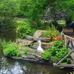 Julie Bickle - @julieb672010 - Instagram