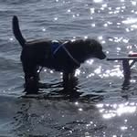 Julie Bickley - @bickleyjulie - Instagram