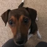 Julie Bills - @julie.bills.716195 - Instagram