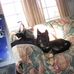 Julie Bills - Facebook