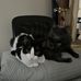 Julie Bills - Facebook