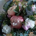 Julie Anthony Chevalier - @julie_bisson61 - Instagram