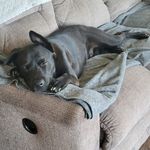 Julie Bitner Stiver - @juliestiver - Instagram