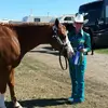 Julie Bitner Stiver - @julies0401 - TikTok